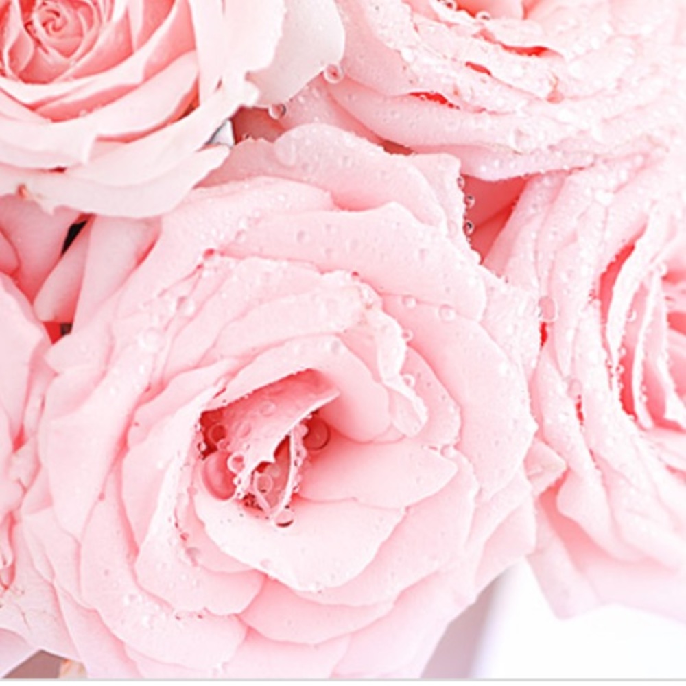 Meet your Posher, Makena